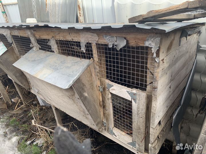 Клетка для кроликов (кролятня)