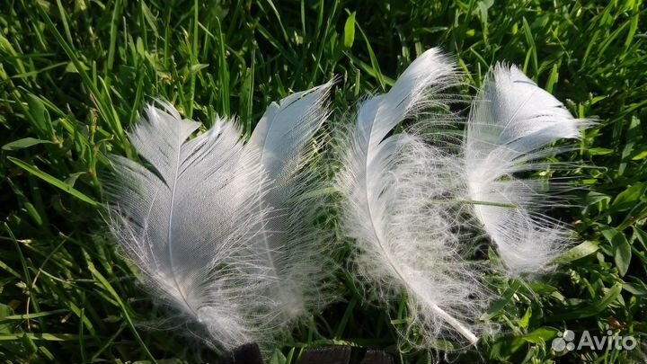 Перья для творчества, украшений