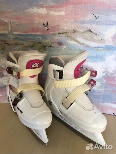 Коньки раздвижные