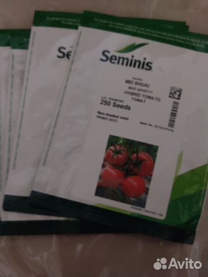 Рассада помидоров