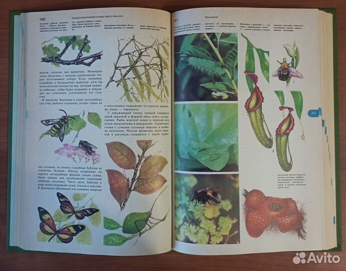 Энциклопедия Юного биолога