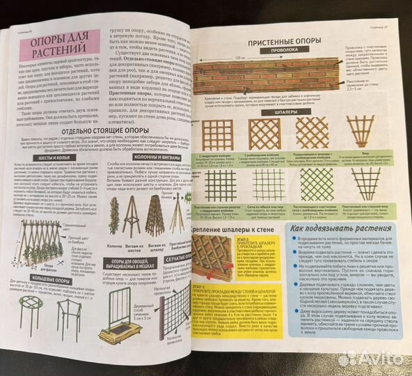 Хессайон 2 книги