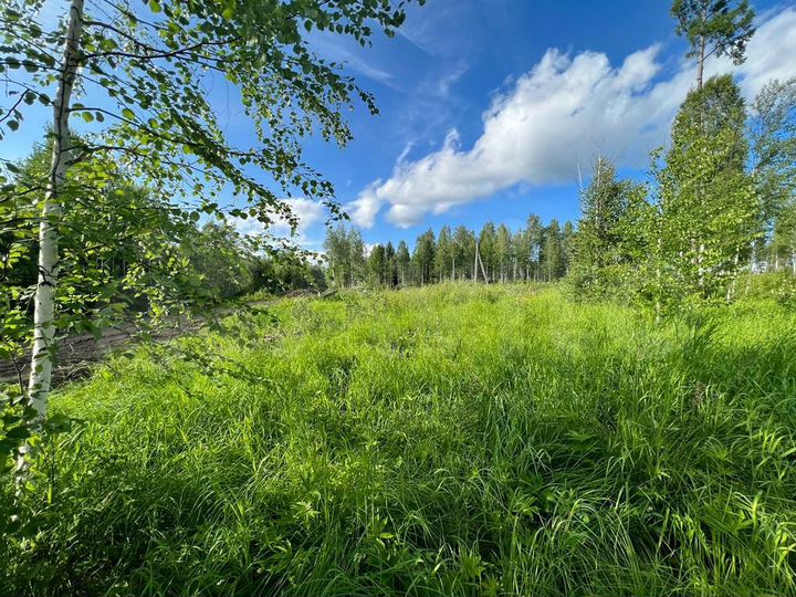 Участок 14,2 сот. (СНТ, ДНП)