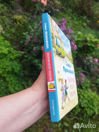 Приключения жёлтого чемоданчика. Художник канивец