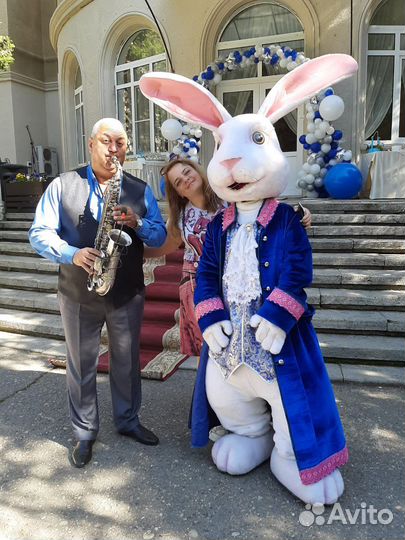 Ведущий тамада