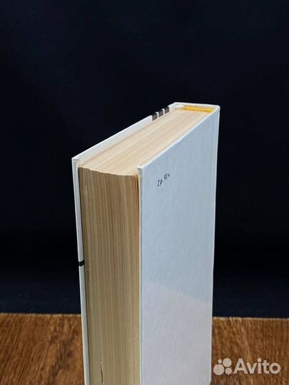 Набоб. Рассказы