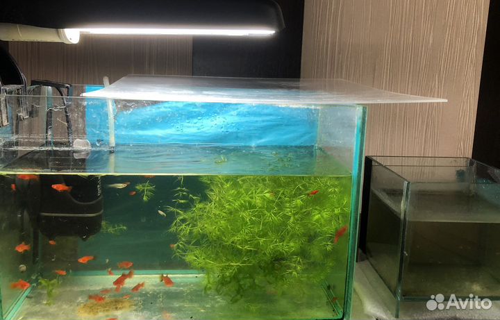 Аквариум, декор замок