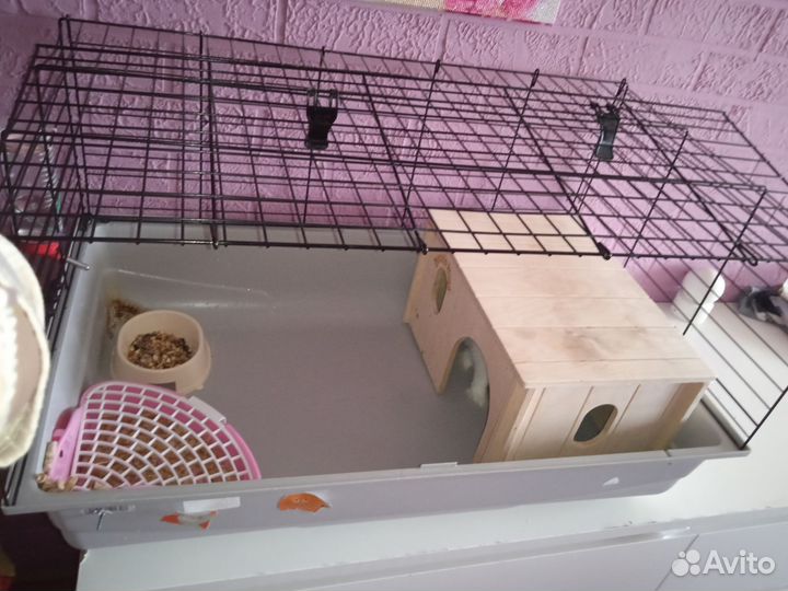 Кролик с клеткой и домиком