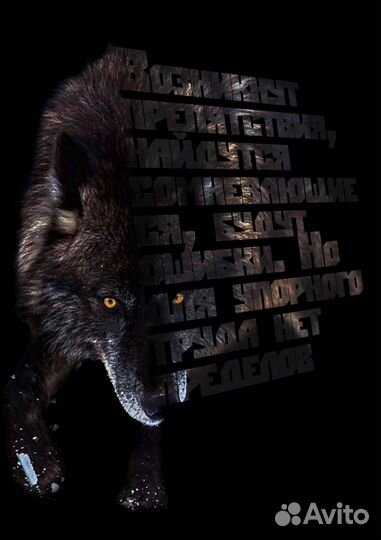 Картины с текстом, Калининград