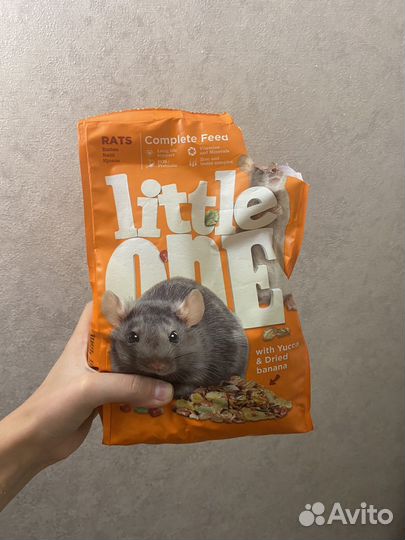 Колесо для крысы