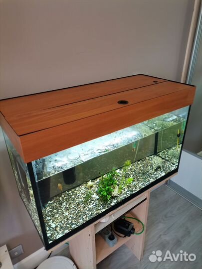 Аквариумы, грунт