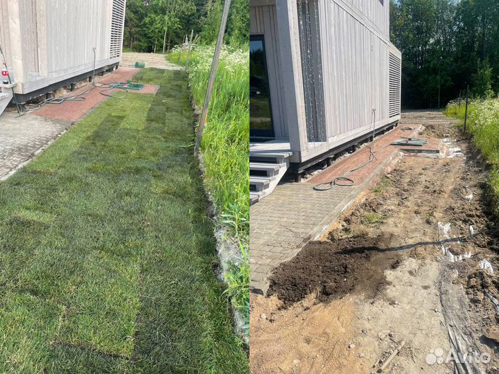 Рулонный газон с укладкой