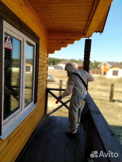 Обработка участка от клещей комаров мошки