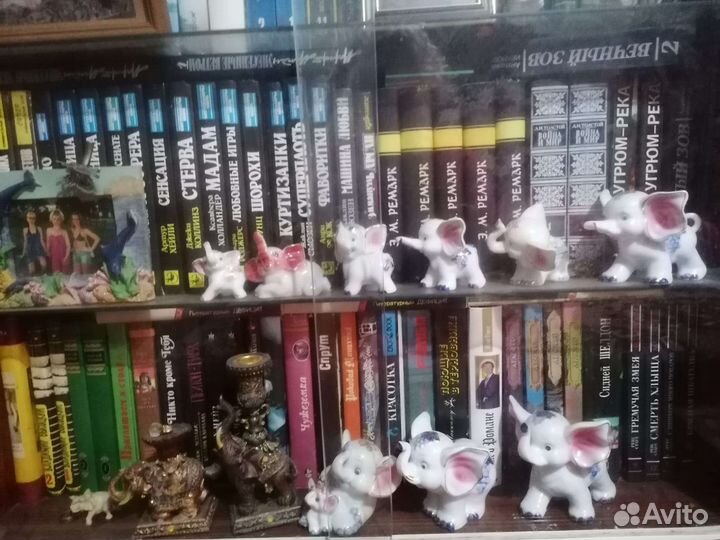 Библиотека