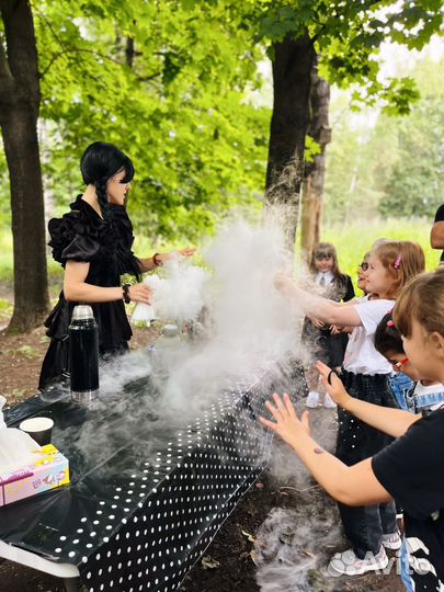 Аниматоры химическое шоу