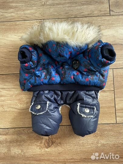 Одежда для собак мелких пород