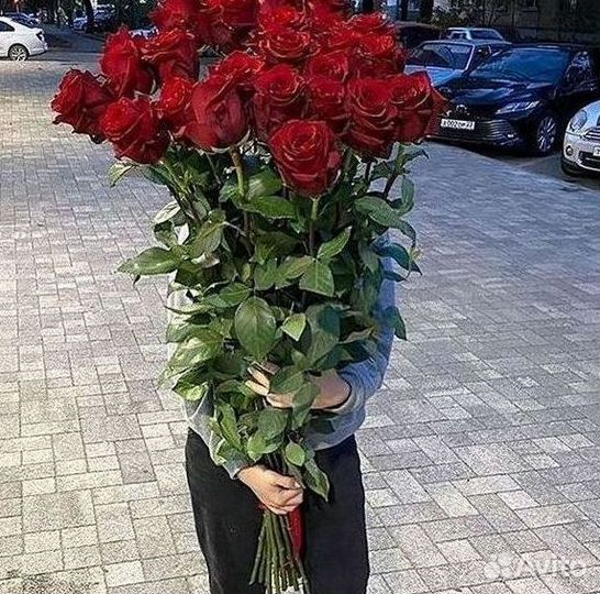 101 роза цветы букеты доставка 25 51 101 роза