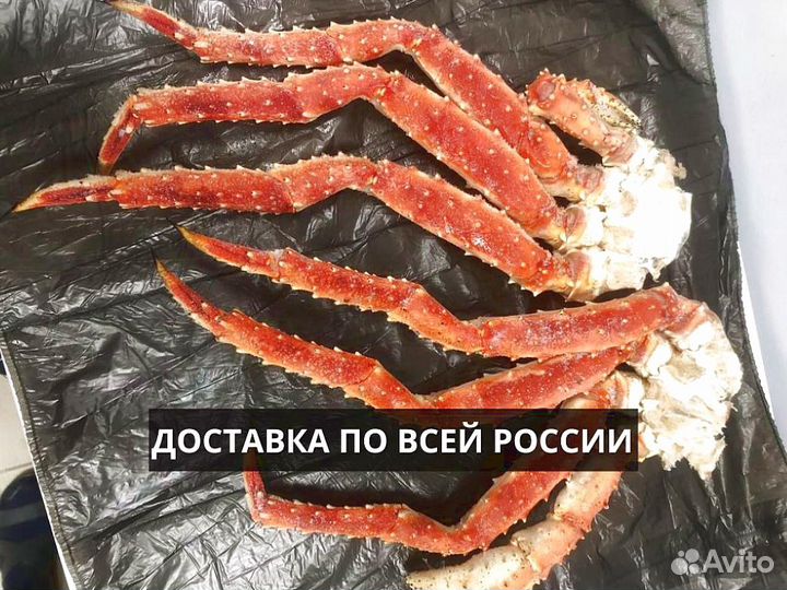 Конечности камчатского краба