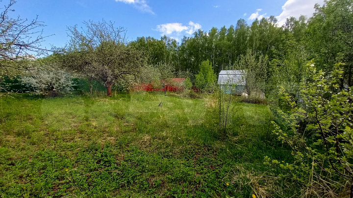 Участок 5,5 сот. (СНТ, ДНП)