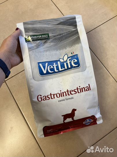 Сухой корм для собак ветлайф