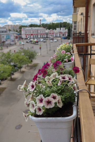 1-к. квартира, 32 м², 4/5 эт.