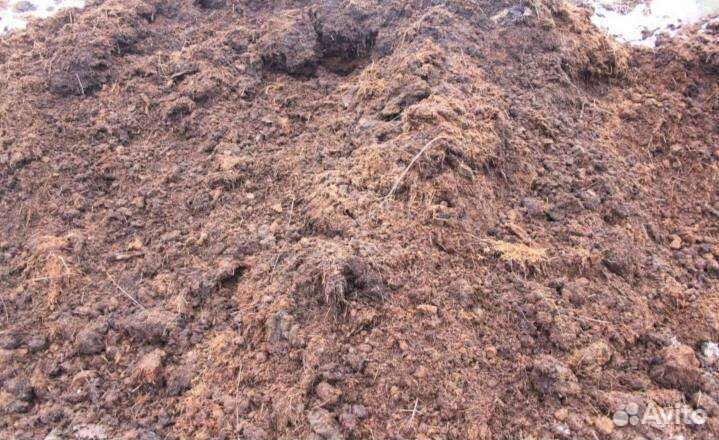 Перегной навоз крс и Конский