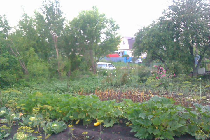 Дача 16 м² на участке 8 сот.