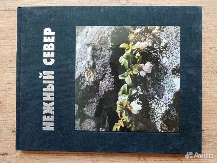 Книги Республика Коми, Сыктывкар, Север