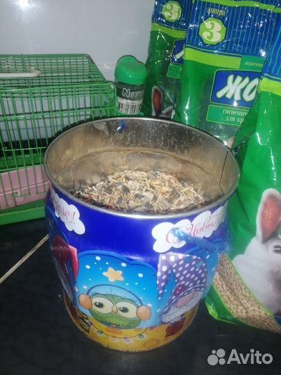 Продам сирийского хомячка с большим приданным