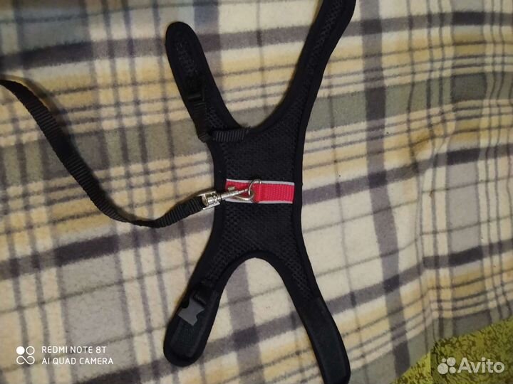 Одежда для животных