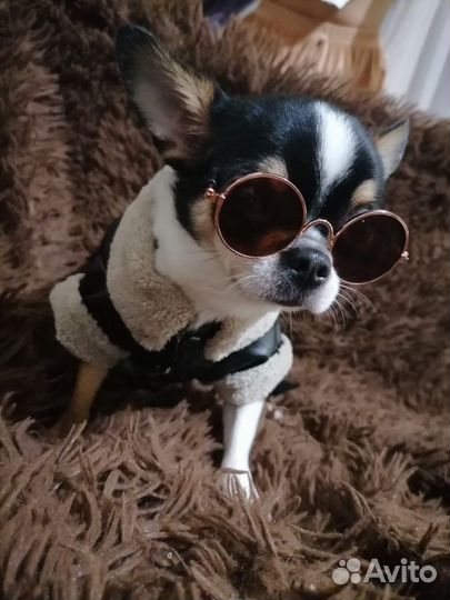 Кабель чихуахуа для вязки