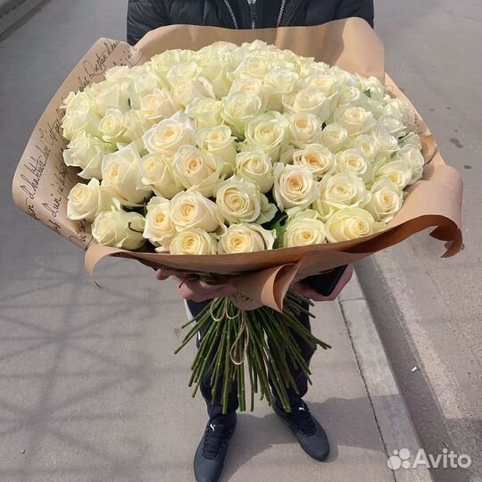 101 роза белая