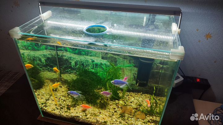 Аквариум 49л (45х30х36,5см)