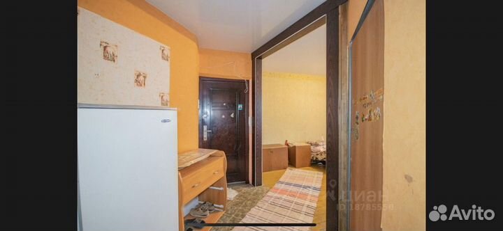 Отдам все что на фото