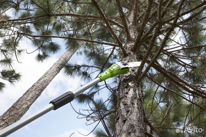 Сучкорез (высоторез) Greenworks с акб и зу