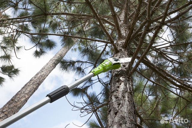 Сучкорез (высоторез) Greenworks с акб и зу