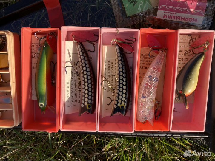 Новая блестна летняя СССР