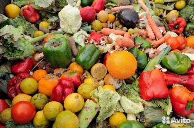 Овощи и хлеб на корм животным