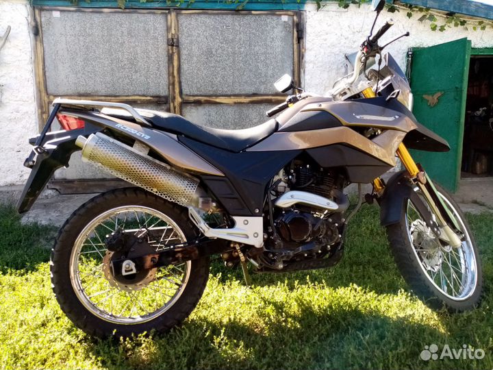 Рейсер рейнджер