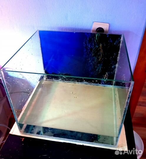 Аквариум