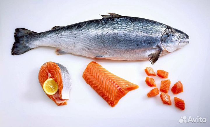 Успешный рыбный магазин с лояльными покупателями