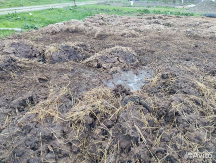 Чернозем самовывоз