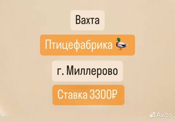 Упаковщик утки. Вахта с питанием. Высокая ставка