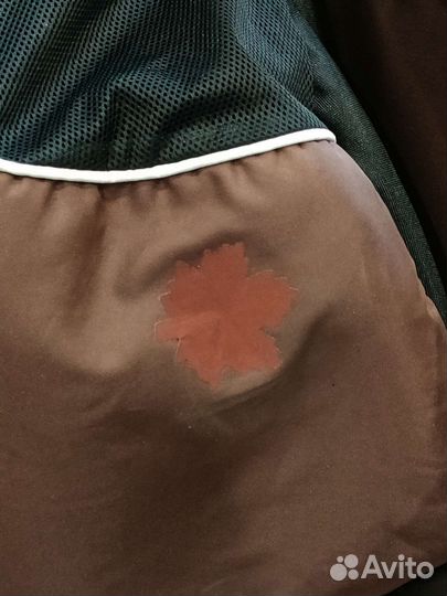 Коляска zippy 3 в 1