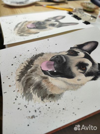 Портреты животных по фото, портрет питомца