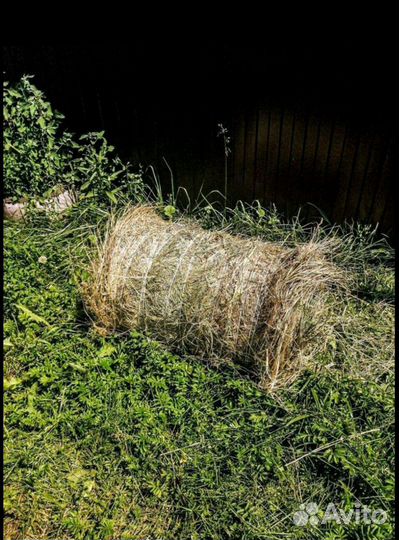 Сено в минирулонах