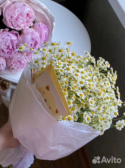 Ромашки цветы букеты