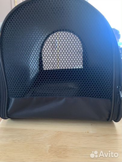 Прокат переноски для кошек и собак мелких пород.а