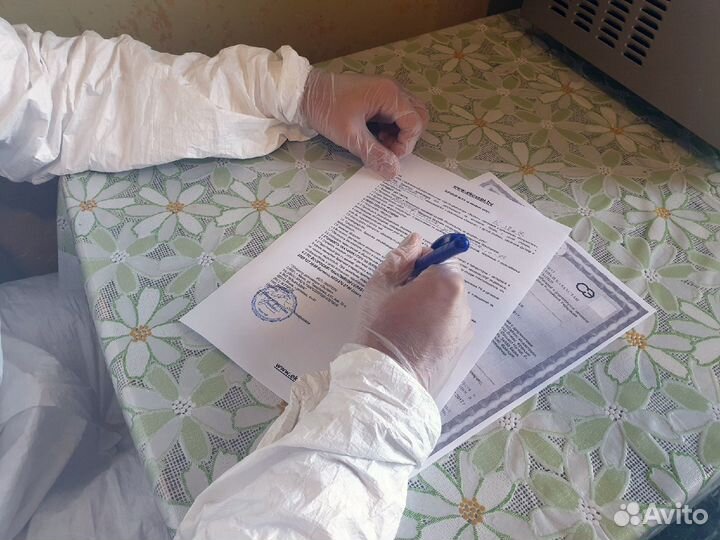 Уничтожение клопов, тараканов в Москве