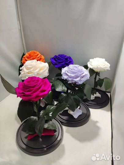 Роза в колбе опт и розница